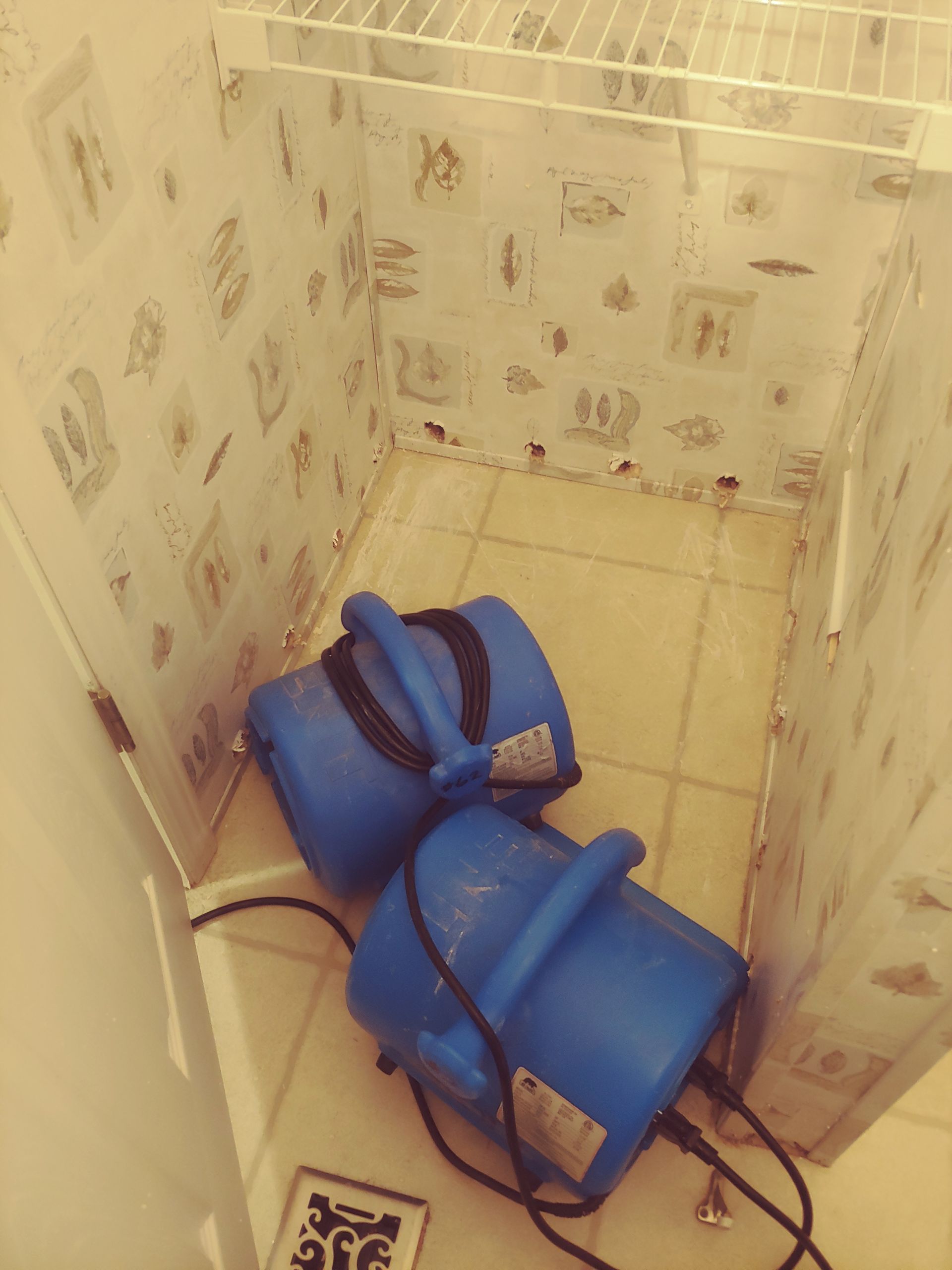 Two blue fans in a small room with wallpaper and tile flooring, likely for drying purposes.