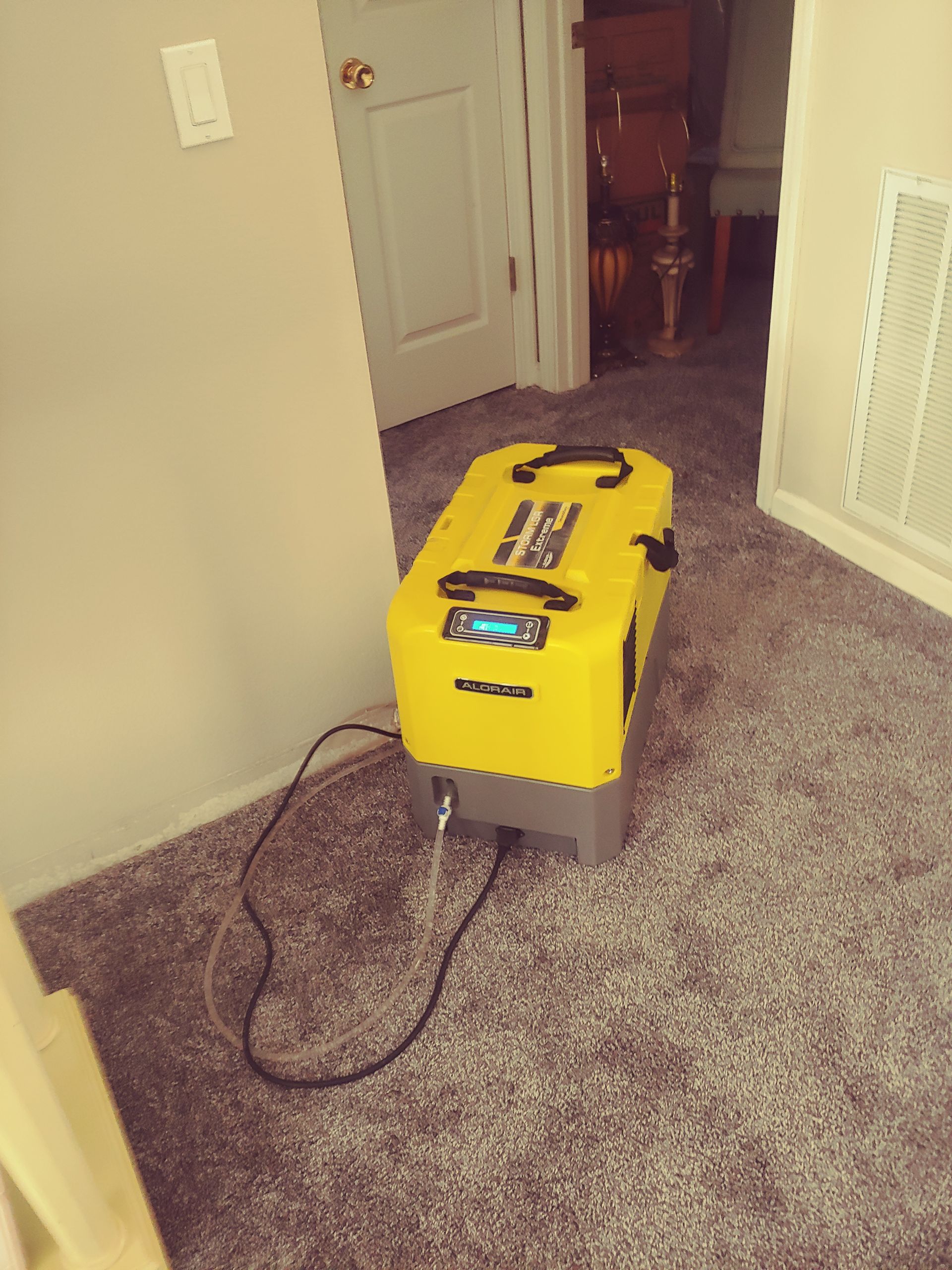 Yellow and gray industrial dehumidifier on carpet, near a door.