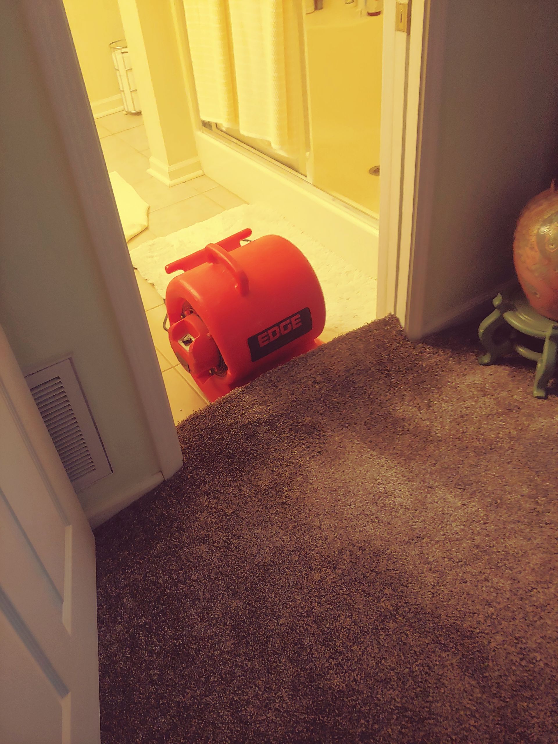 Red blower in a bathroom doorway on carpet.