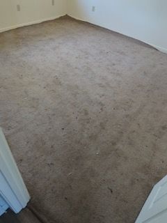 Beige carpeted room, dirty with visible stains and debris.