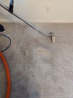 Carpet cleaner sprays steam on a beige carpet near a white wall.