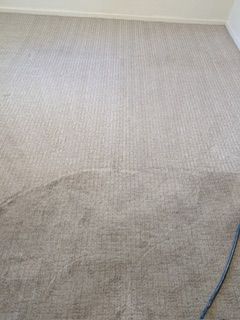 Carpet showing a cleaned area, lighter in color, compared to the uncleaned, darker section.