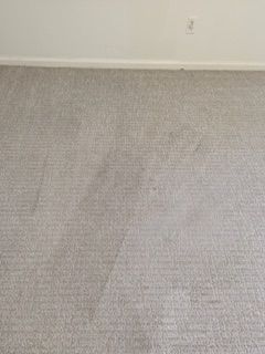 Light gray carpet with visible traffic patterns and a white wall with an electrical outlet.