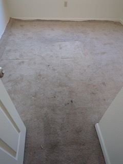 Room with stained, light-colored carpet, viewed from a doorway. White walls and door frame are visible.