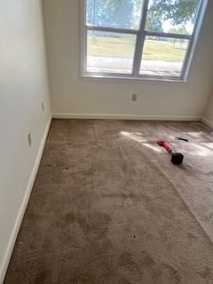 Empty room with stained brown carpet, white walls, and a window. A carpet roller lies on the floor.