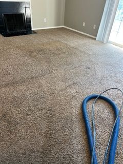 Dirty brown carpet in a room, with a black fireplace, beige walls, and a blue hose on the carpet.
