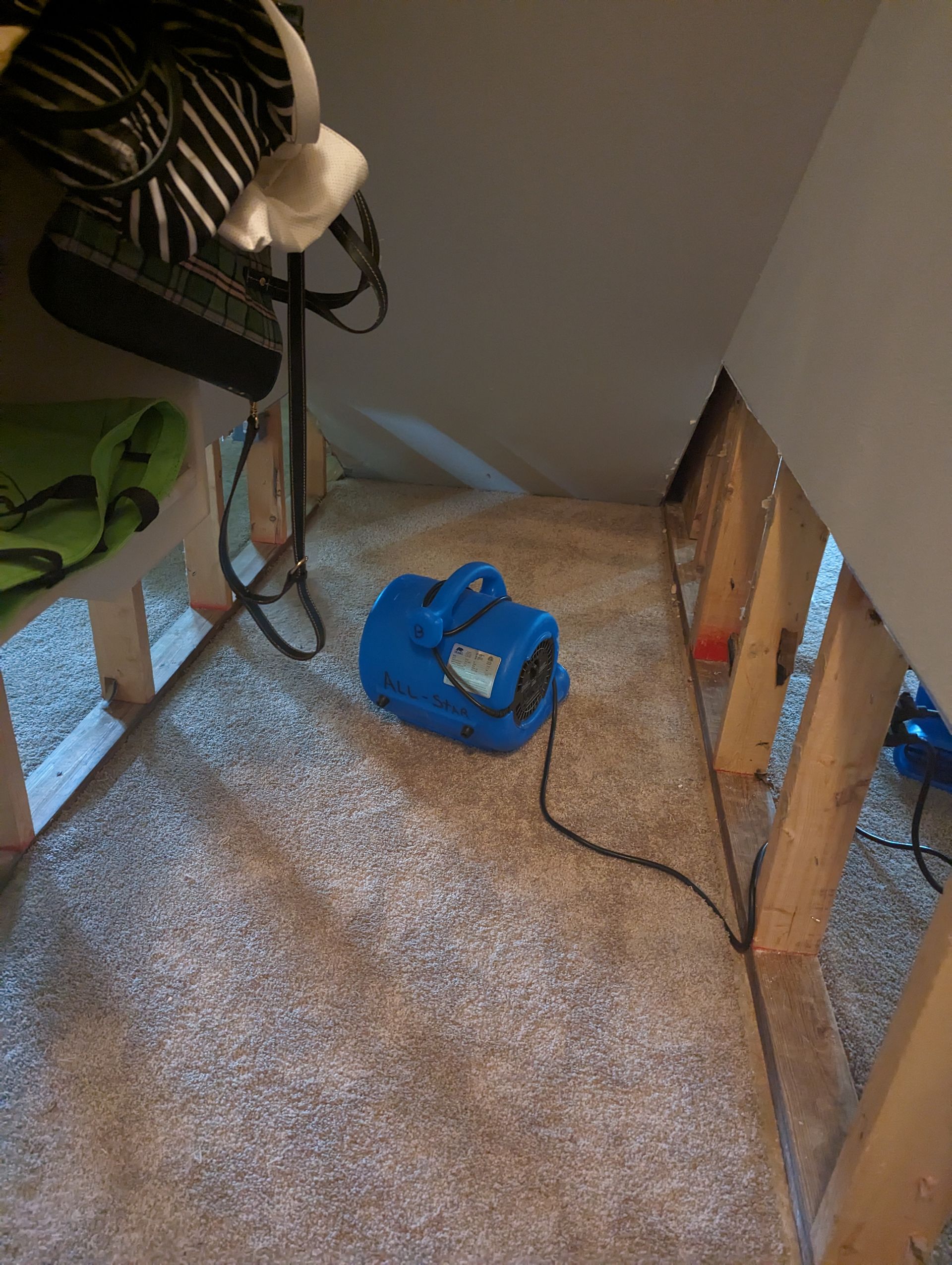 Blue air mover on carpeted floor in a small, slanted room. A fan and wooden beams are also visible.