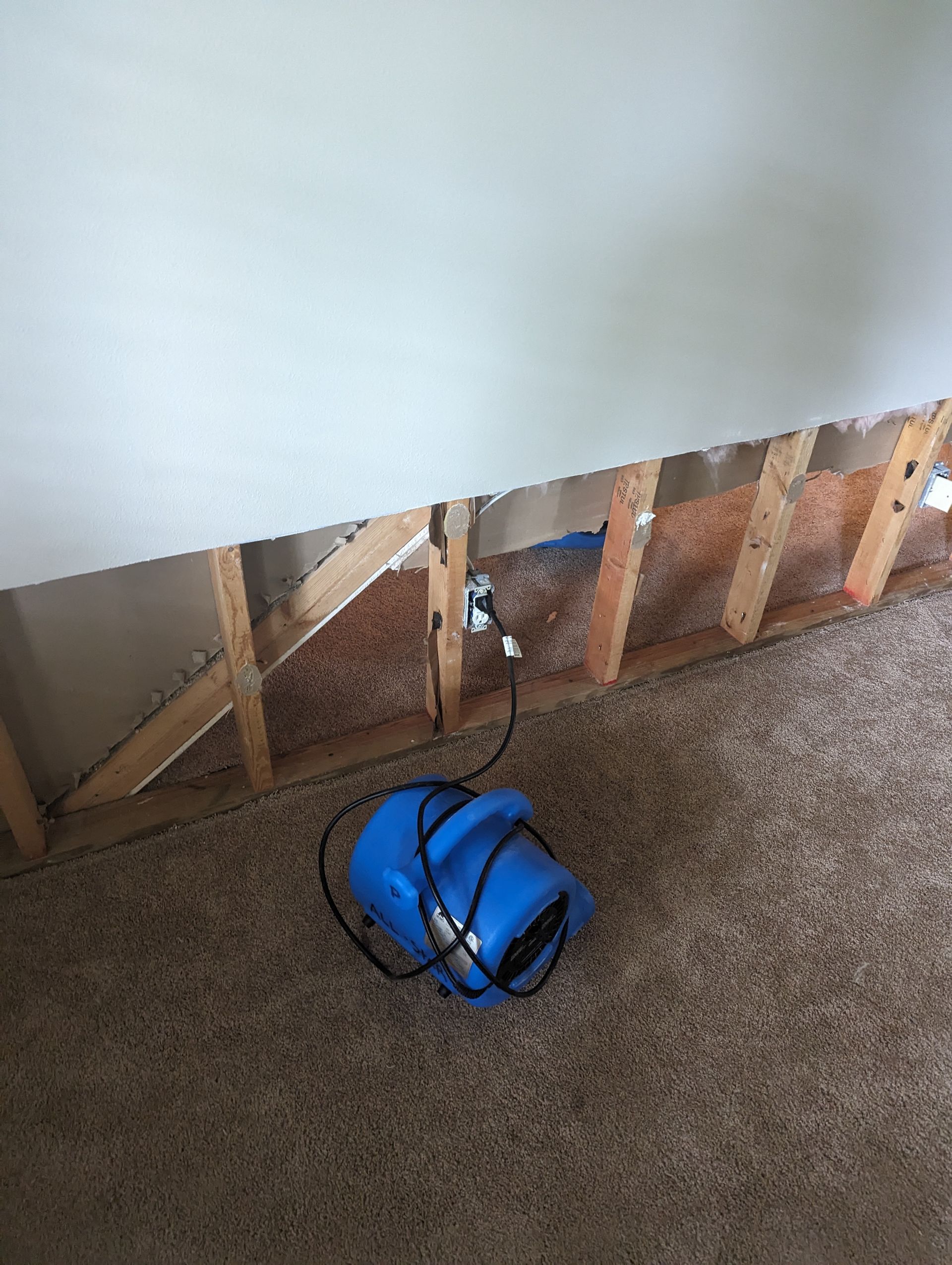 Blue air mover near exposed wall framing and electrical outlet on carpet.