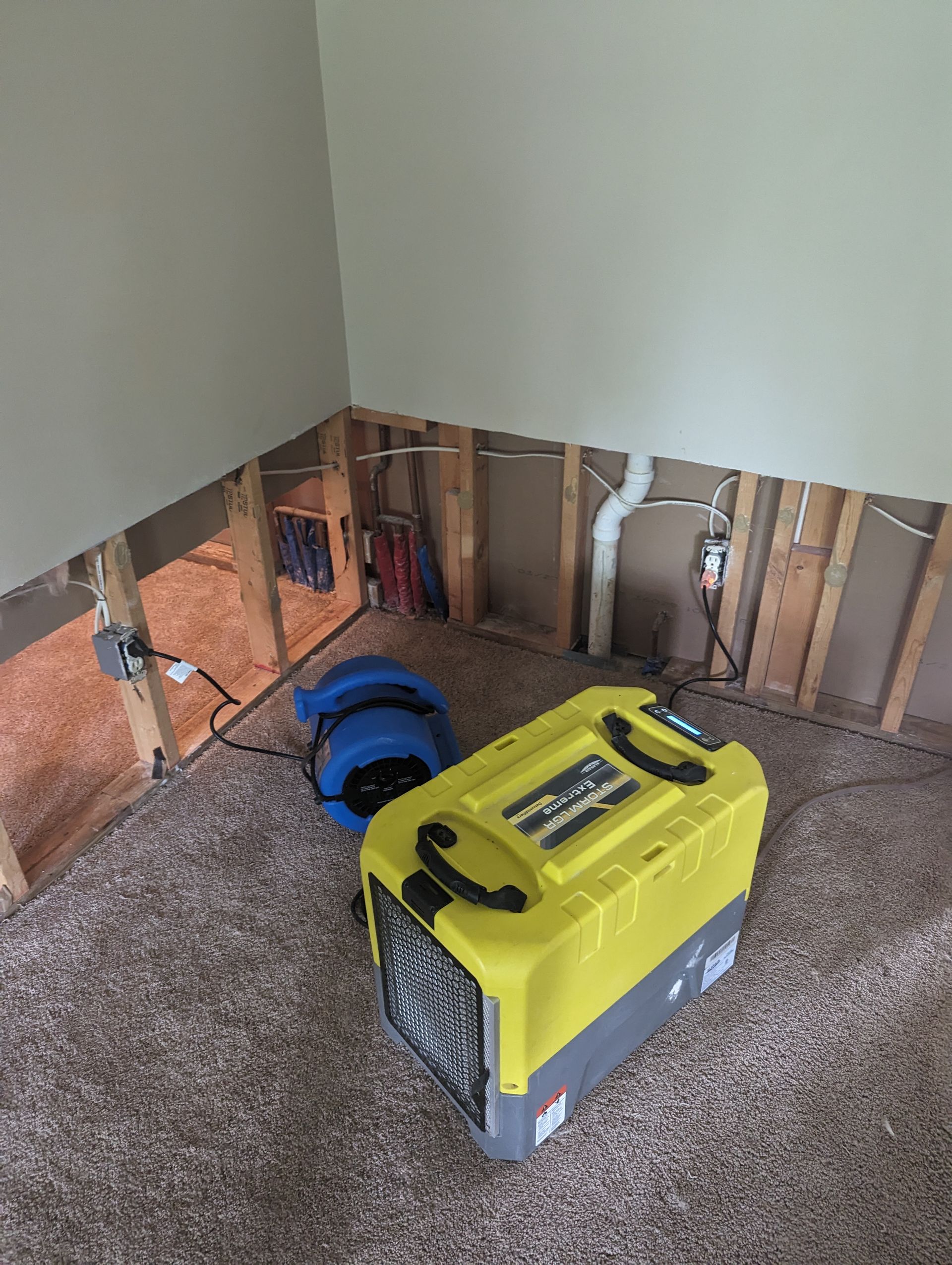 Yellow dehumidifier and blue air mover in a room with exposed wall studs and carpet.