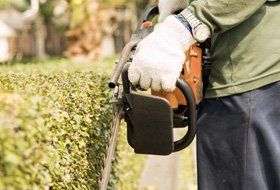 Tree Care Services