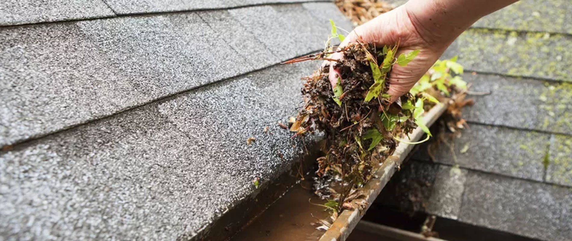 Gutter Cleaning