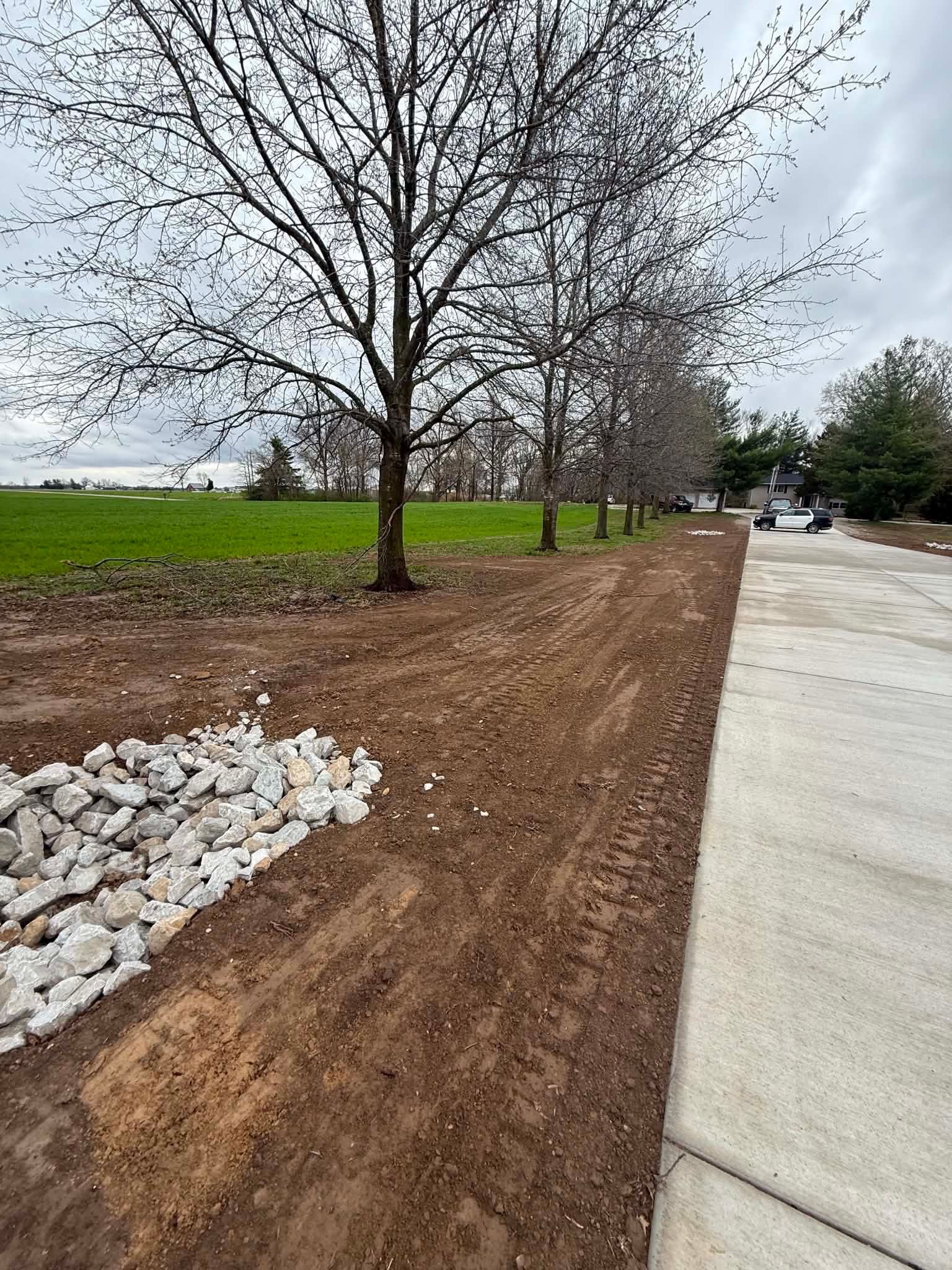 Newly landscaped roadside with bare trees, green field, and a concrete sidewalk under overcast skies