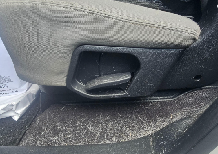 Car seat with light gray fabric, black handle, and covered in pet hair.