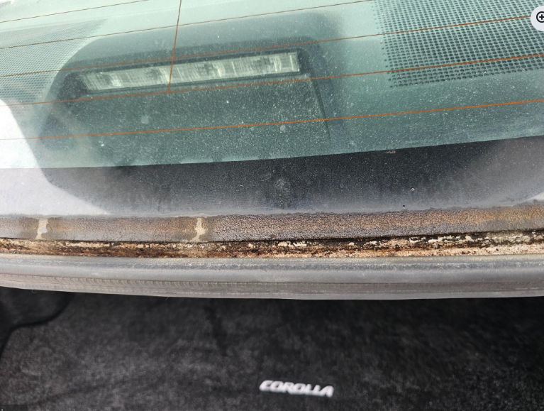 Rear window of a Corolla car, showing brown corrosion around the window frame.