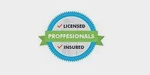 professionals insured