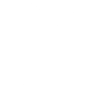 Tesla Logo