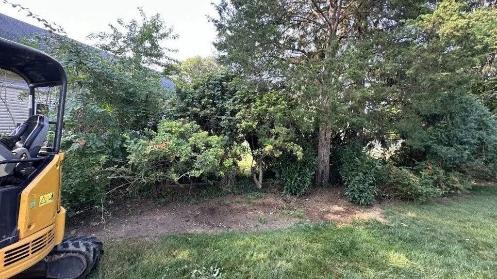 Yellow excavator next to overgrown bushes and a grassy lawn.