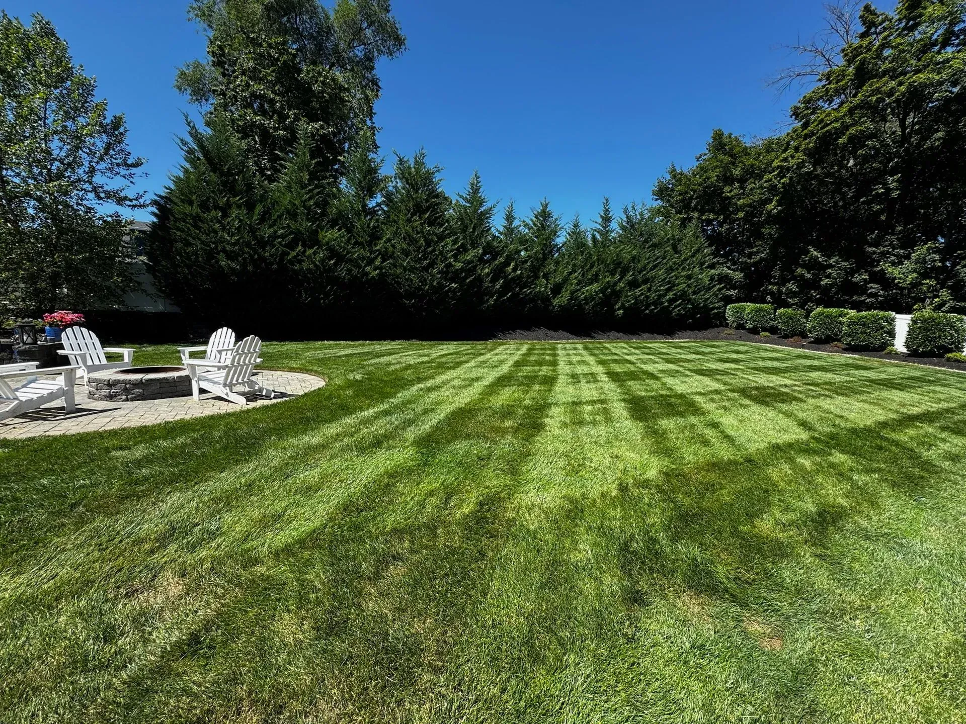 Lawn with striped mowing pattern, a fire pit with Adirondack chairs, and a line of evergreen trees against a clear blue sky.
