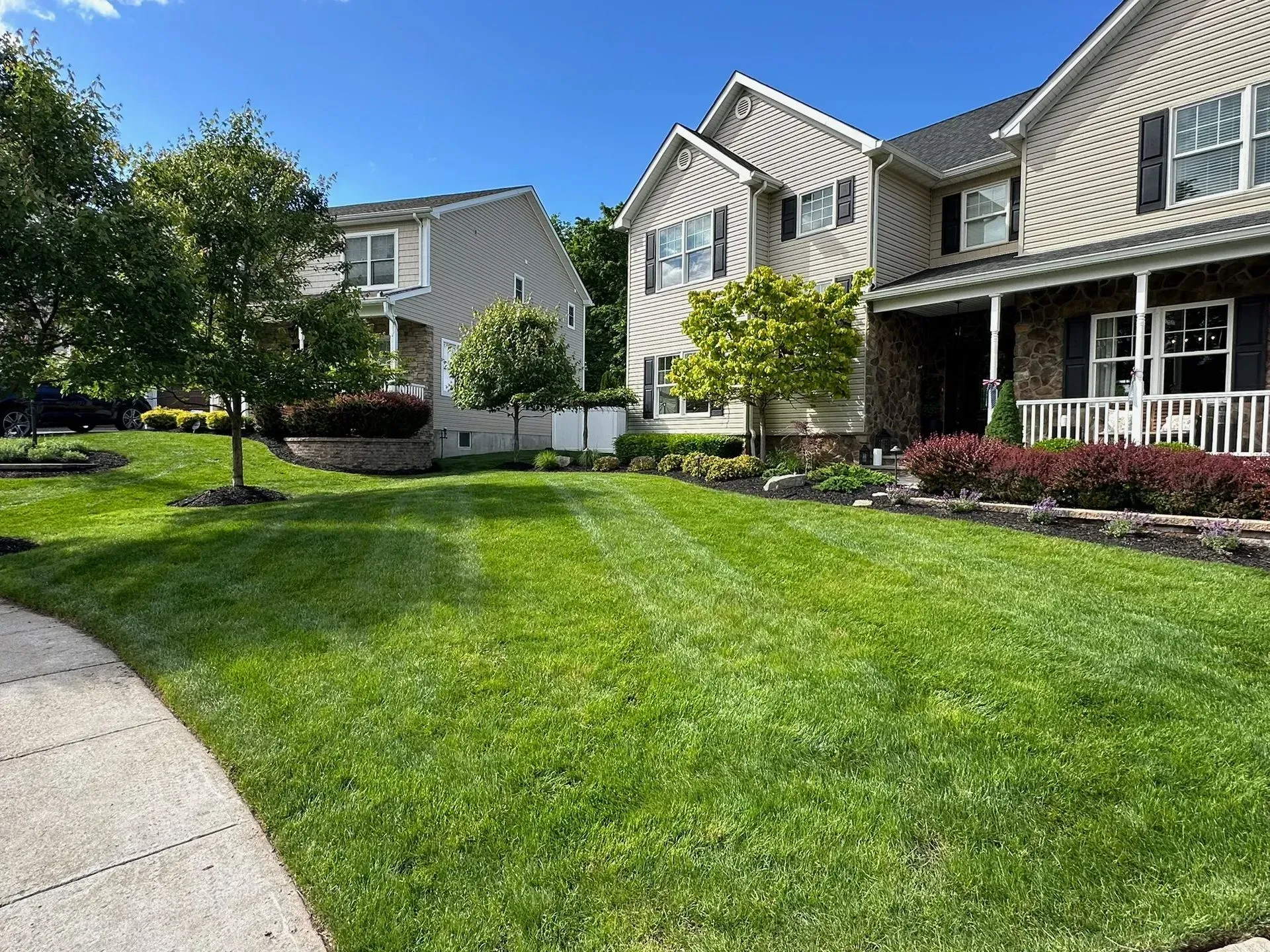 Well-manicured green lawns in front of two-story houses under a blue sky on a sunny day.