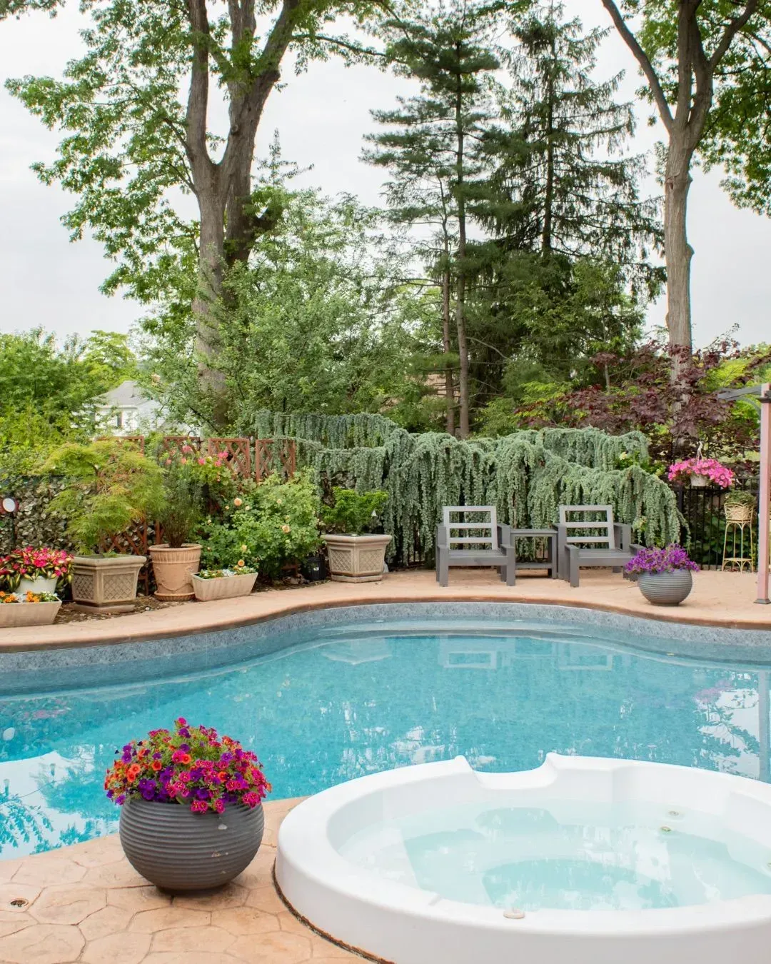 Swimming pool with a hot tub and lush landscaping. Two chairs are next to weeping cedar trees.