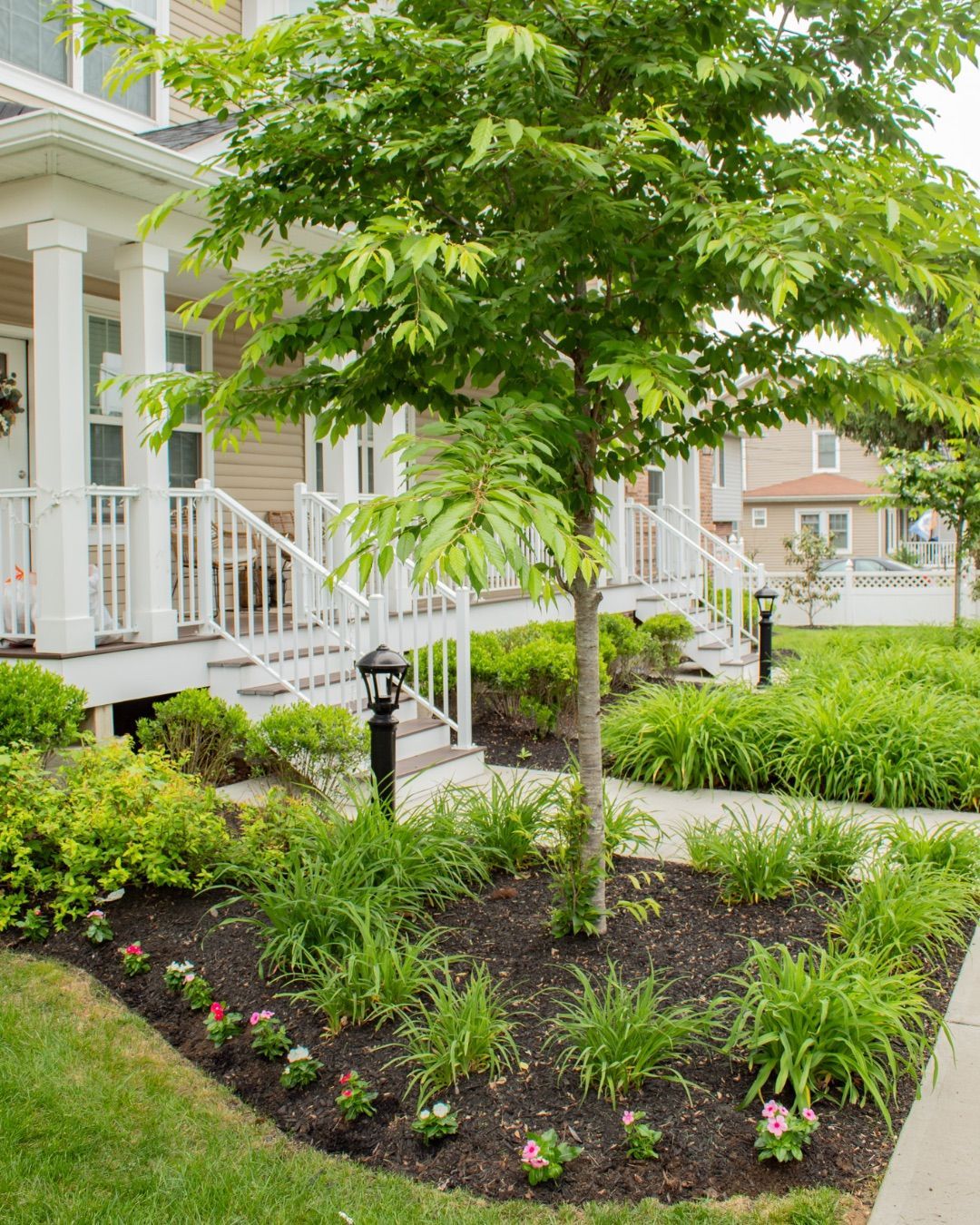 Well-manicured landscaping in front of townhouses, with a tree, flowers, and a walkway.