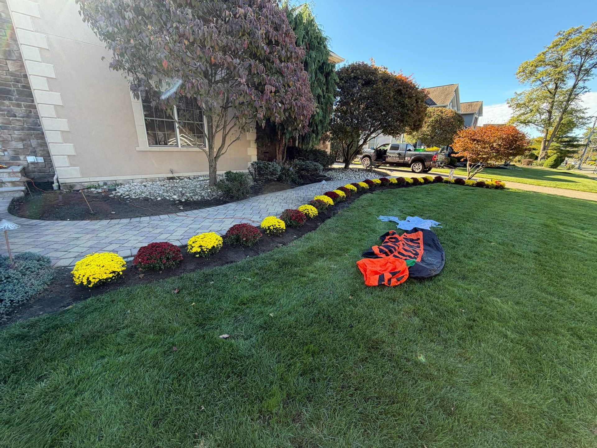 Yellow, red, and maroon mums line a walkway. Gardening equipment sits on green grass beside the flowers and the house.