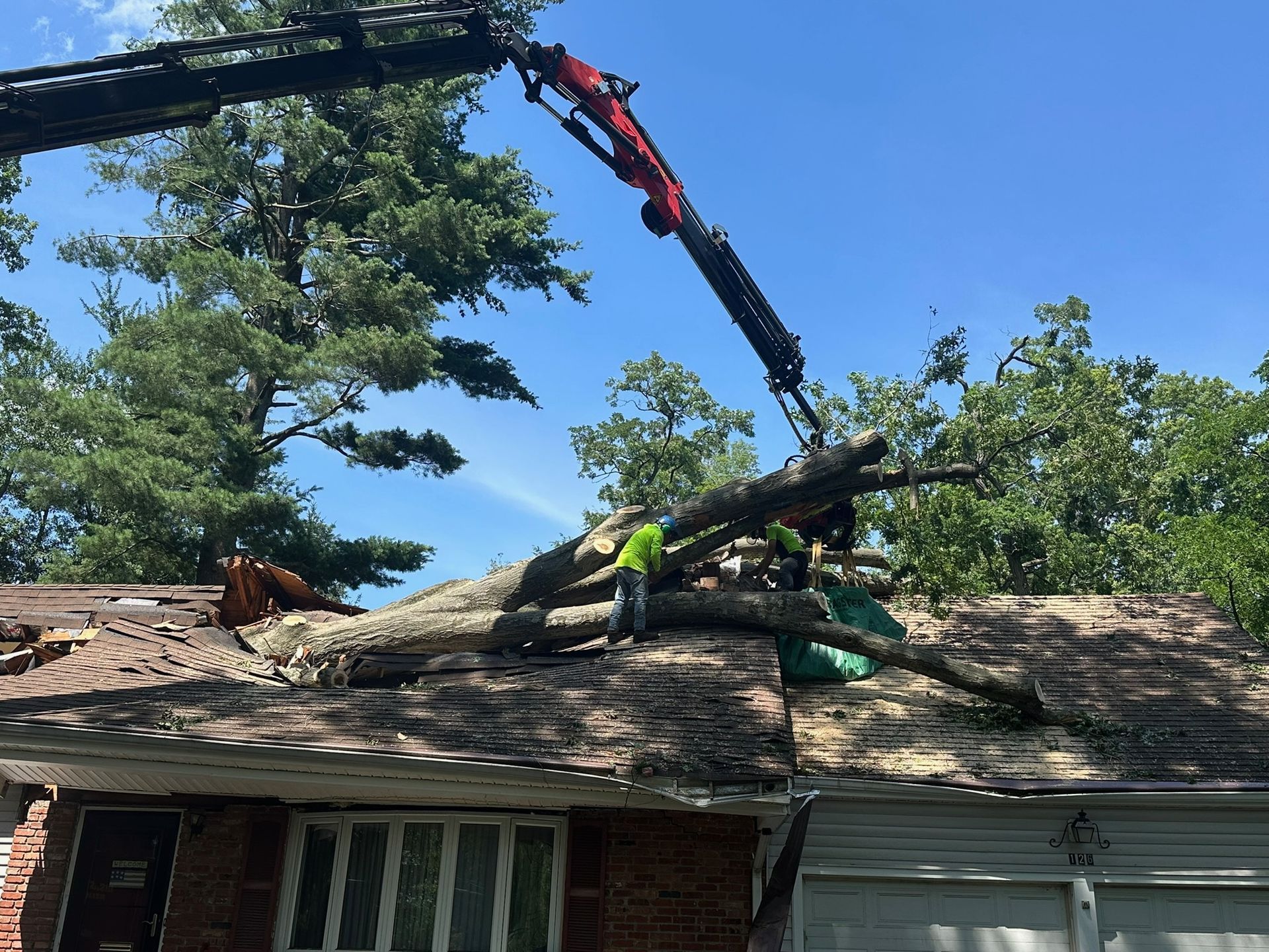 Crane removing tree from roof of house; workers in green vests.