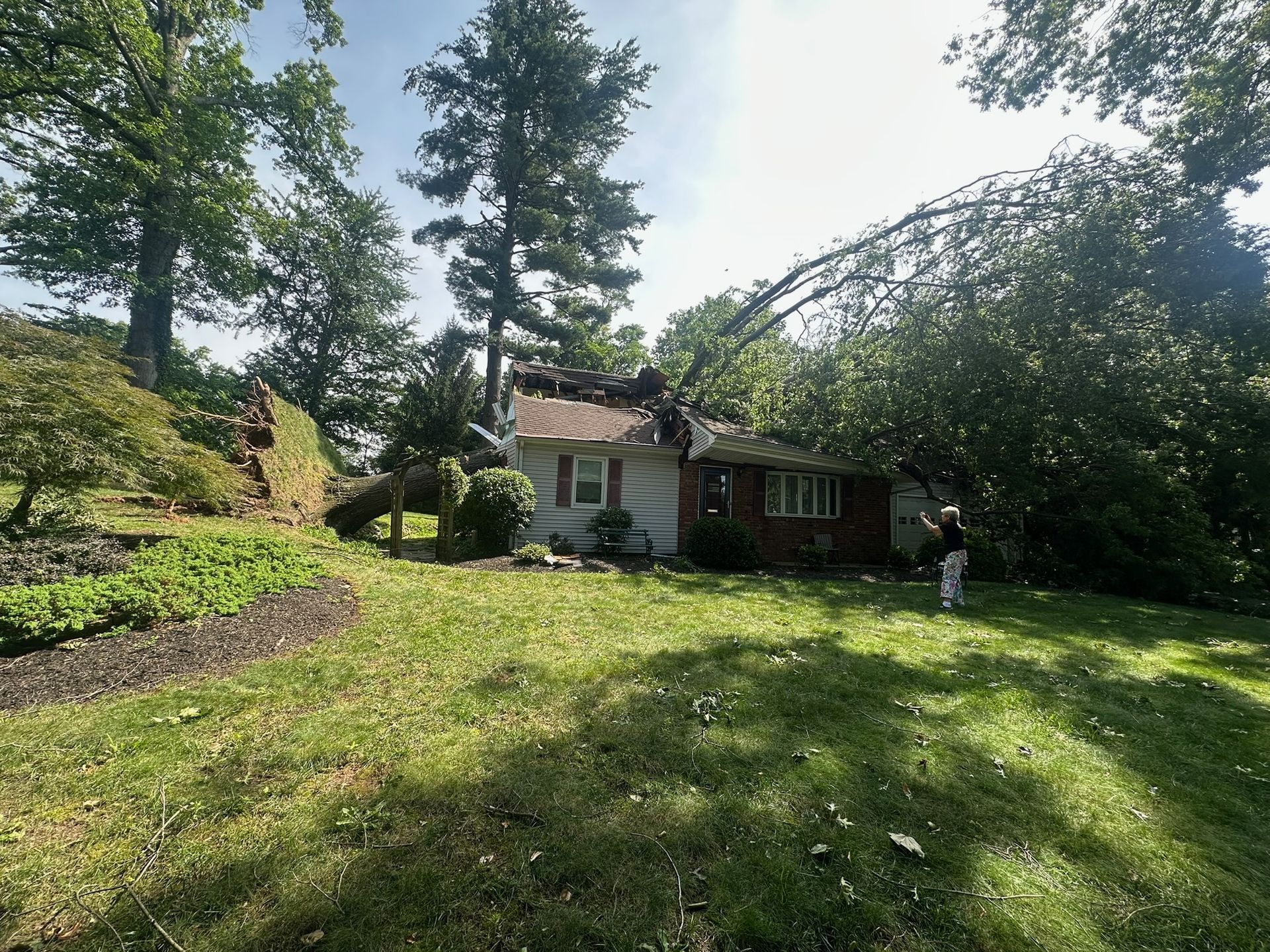 Tree fallen on a house, person assessing damage on the lawn. Green grass, blue sky.