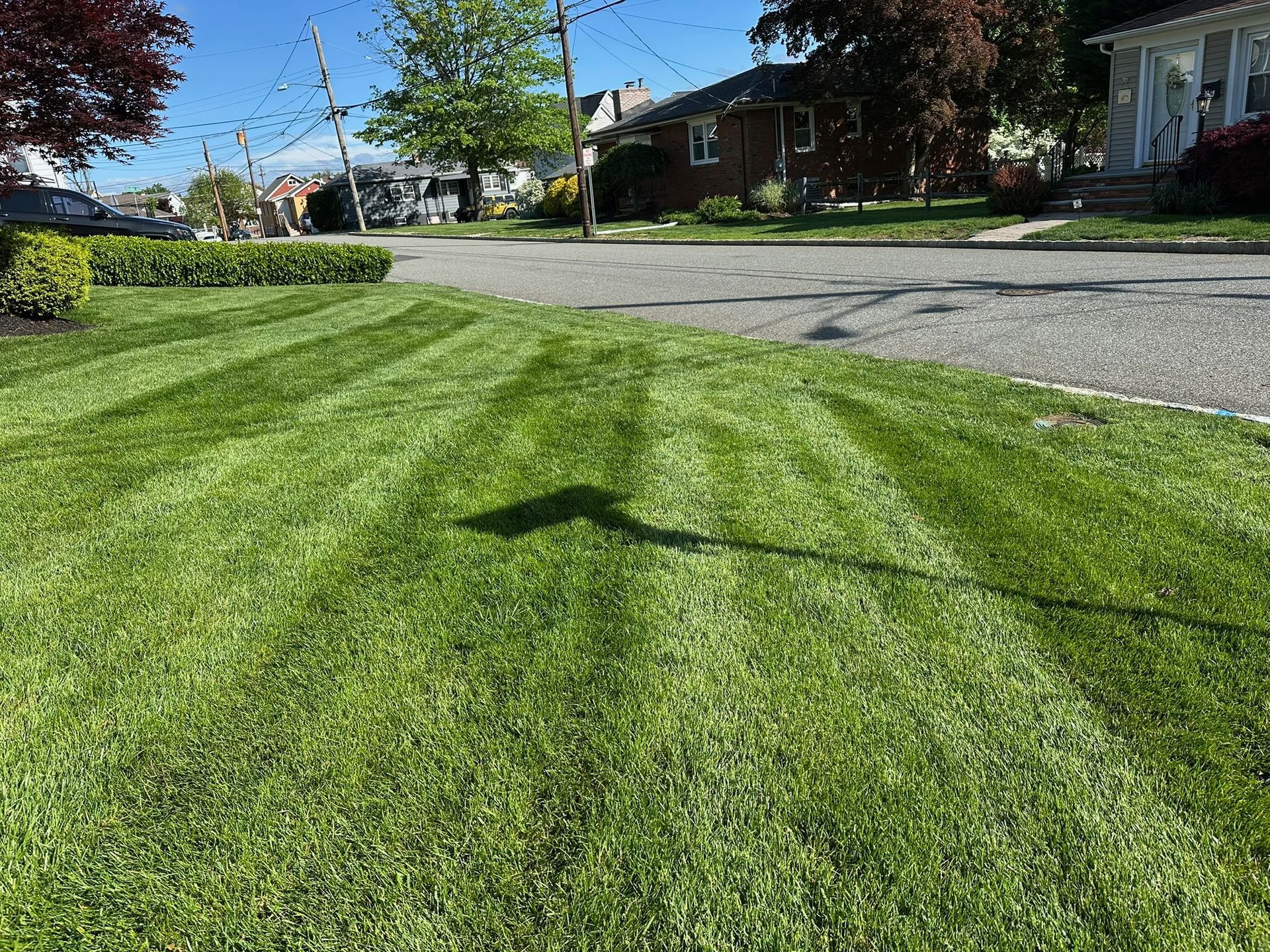 Green lawn with striped mowing pattern, street in background, sunny day.