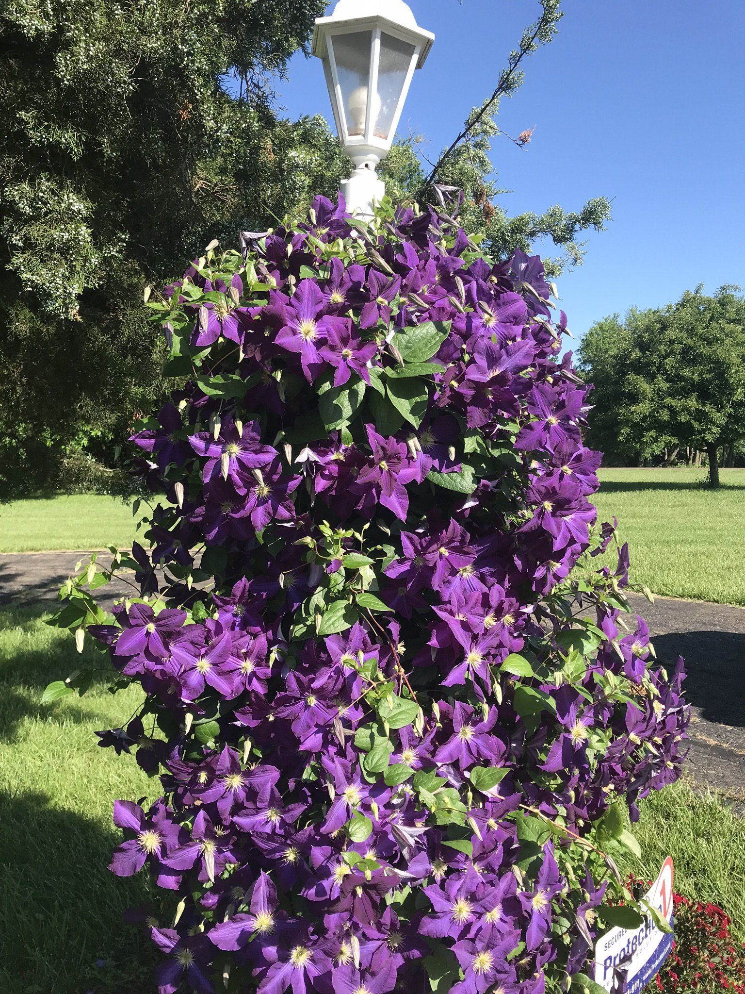 Stauffer Lawn & Landscape Photo Gallery Auburn, KS