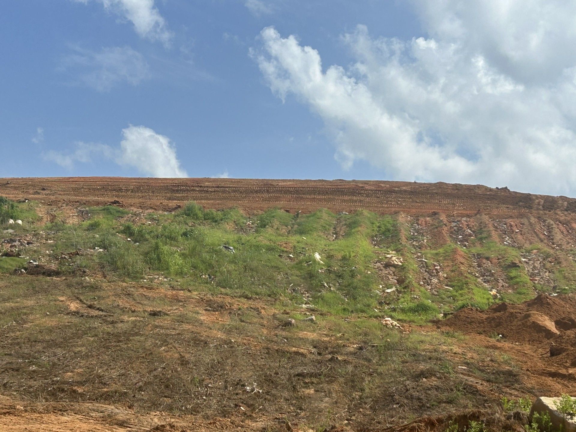 A large hill with trees on it and a blue sky in the background.