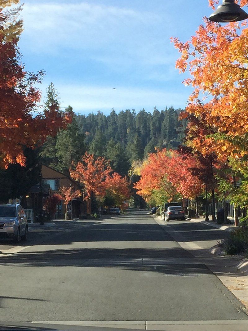 A street with trees that are changing colors in the fall