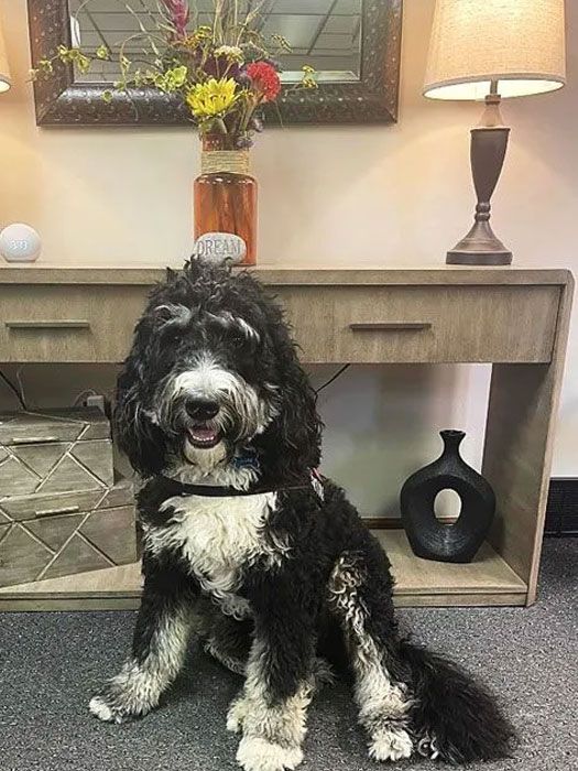 Photo of {{Team Member Name}}