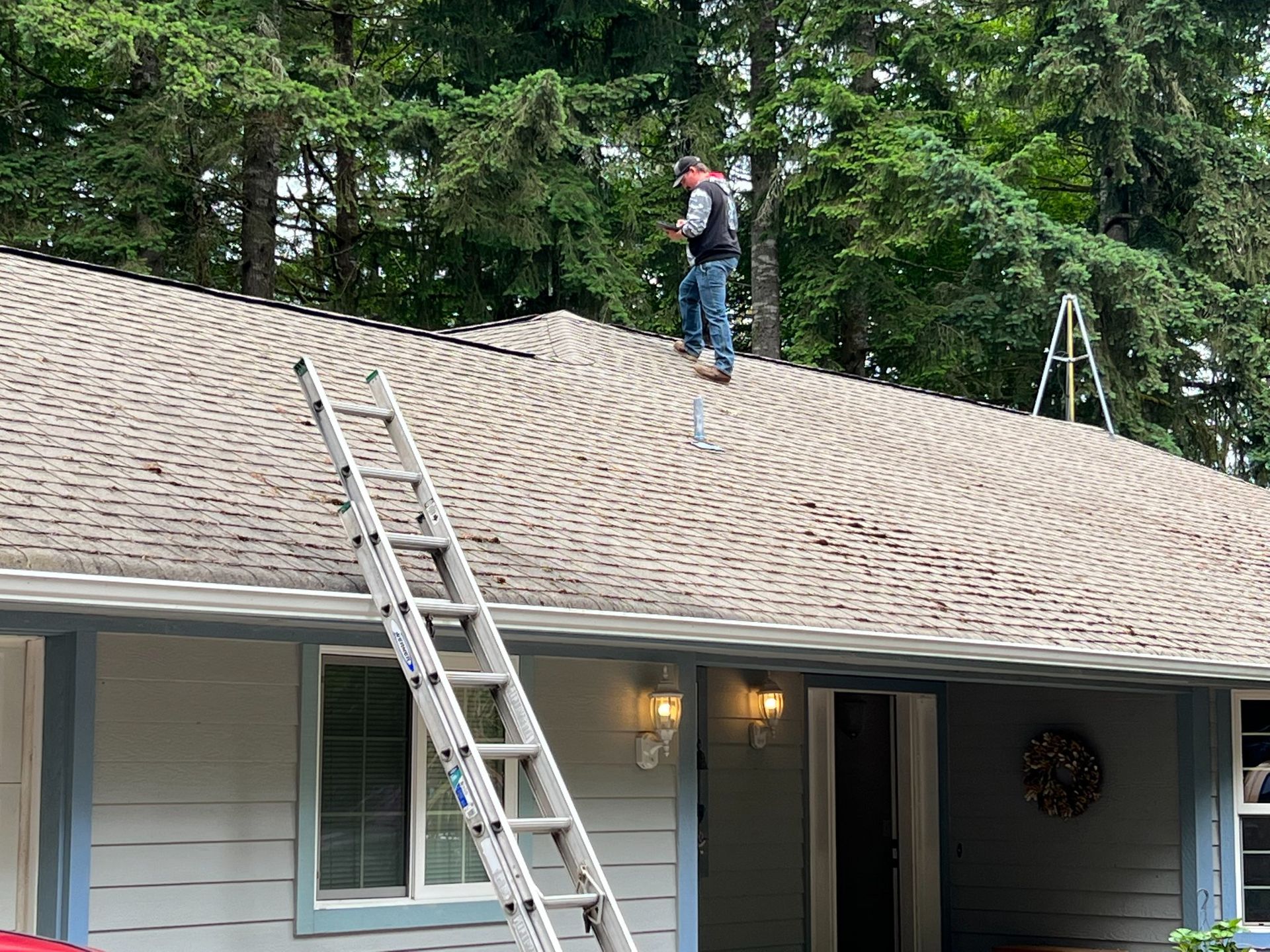 Person on roof, near trees, with a ladder leaned up against the house.
