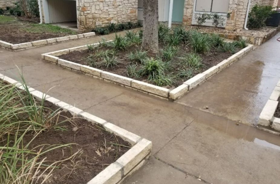 A concrete walkway with a tree in the middle of it.
