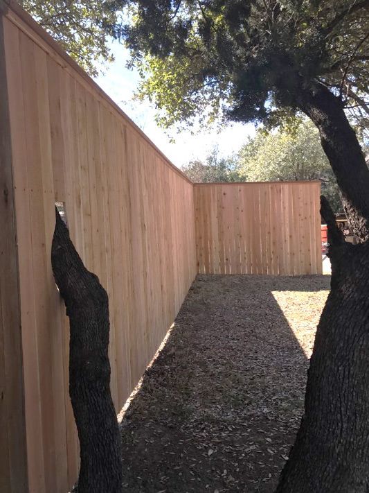A wooden fence is surrounded by trees in a backyard.