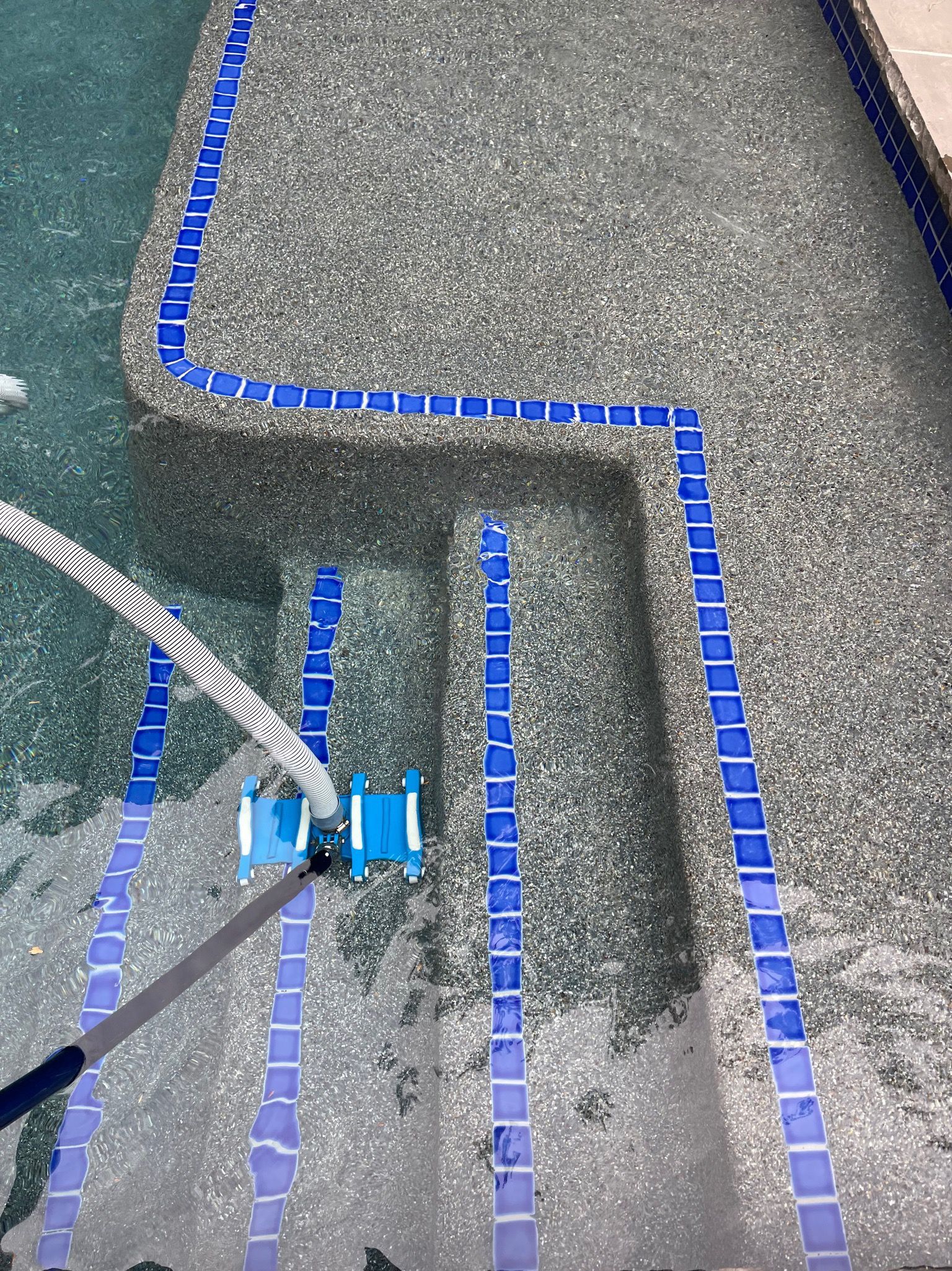 swimming pool cleaning