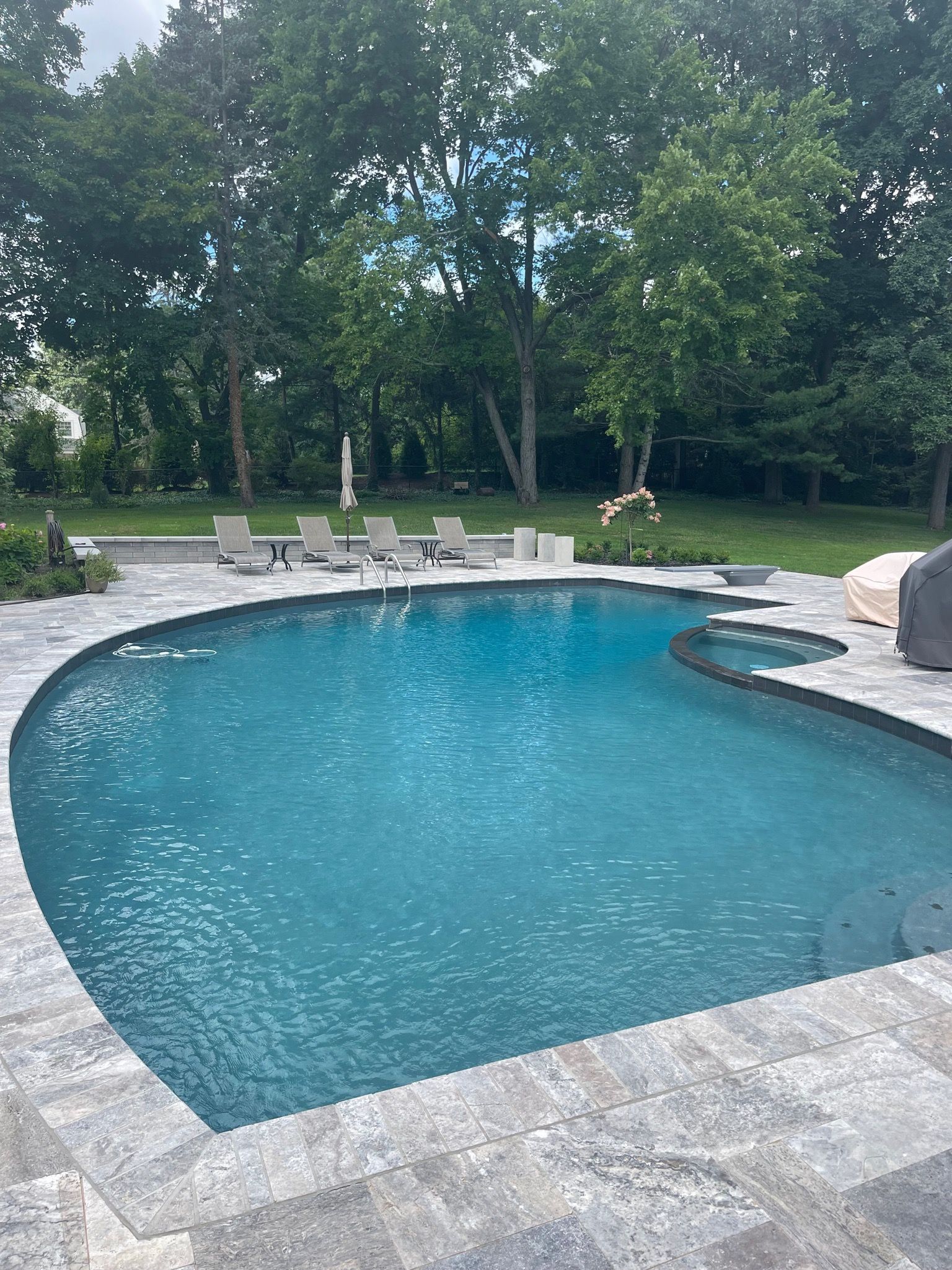 Backyard with small beautiful swimming pool