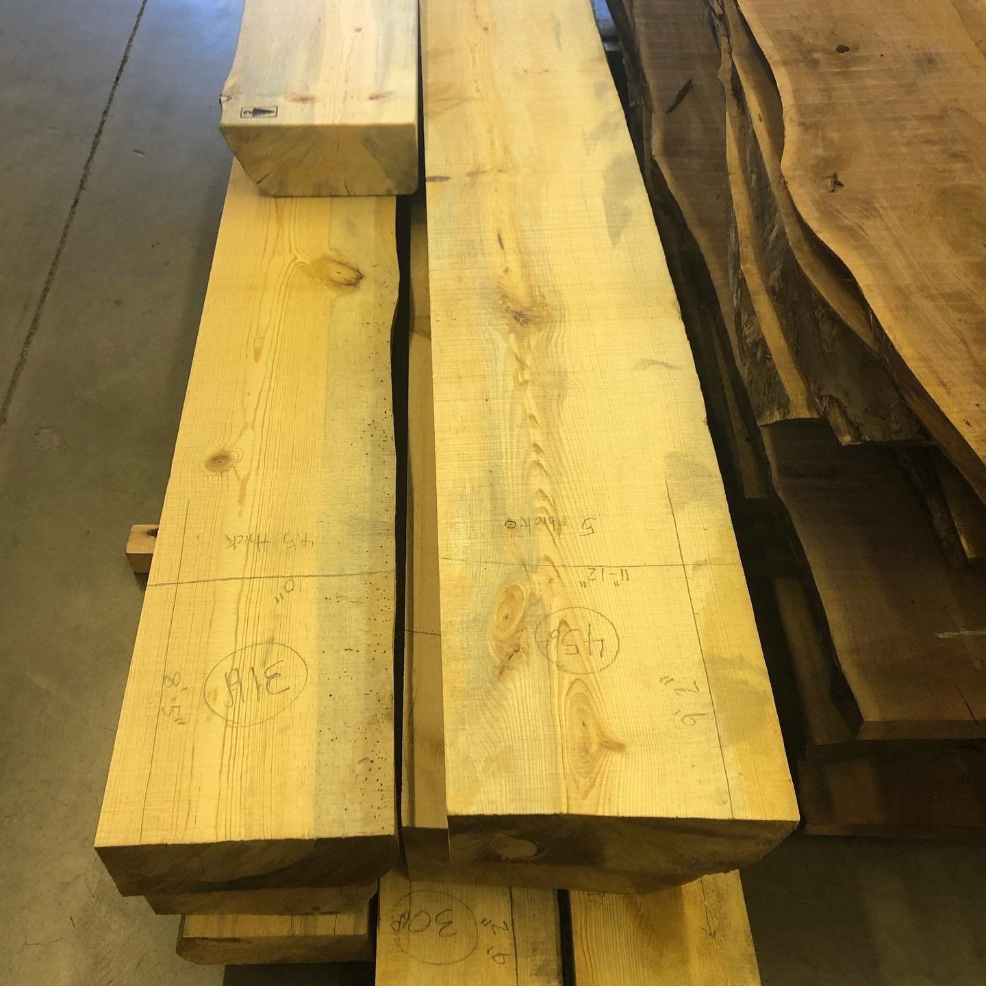 Softwood