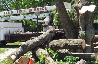 Lee's Tree Service | Arborist | Cold Spring, NY