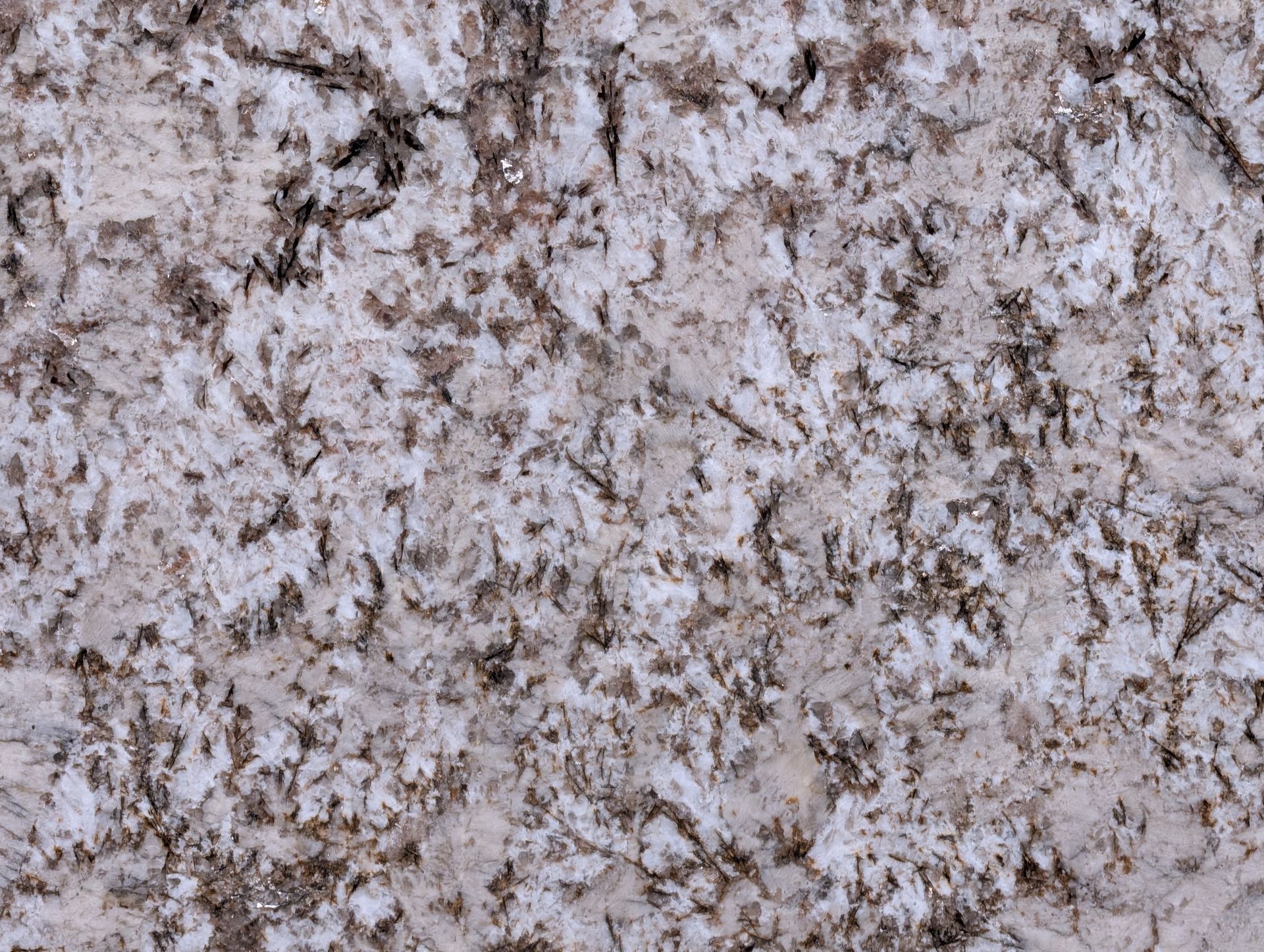 Bianco Antico - Polished - 3CM - Closeup