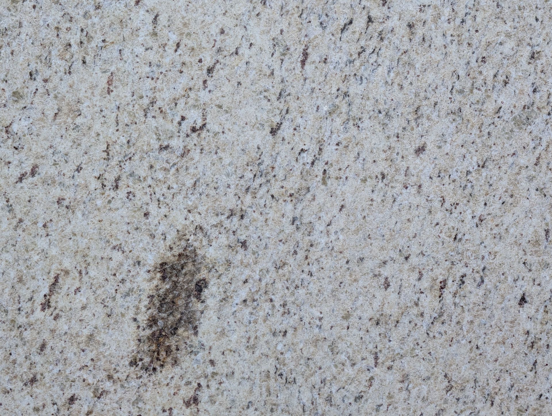 Giallo Ornamental - Polished - 3CM - Closeup