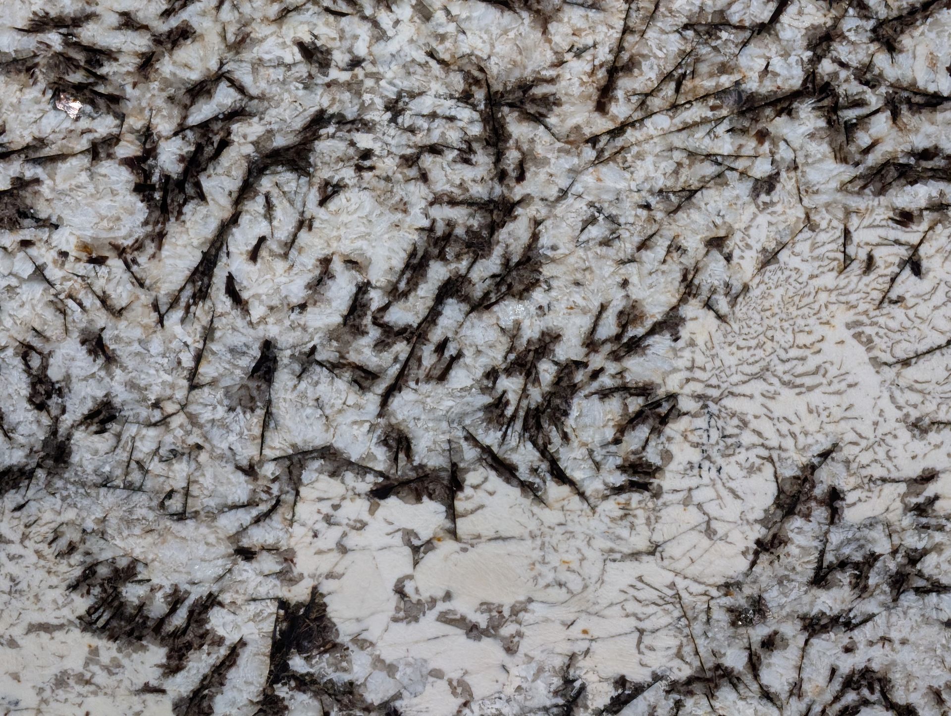White Orion - Polished - 3CM - Closeup