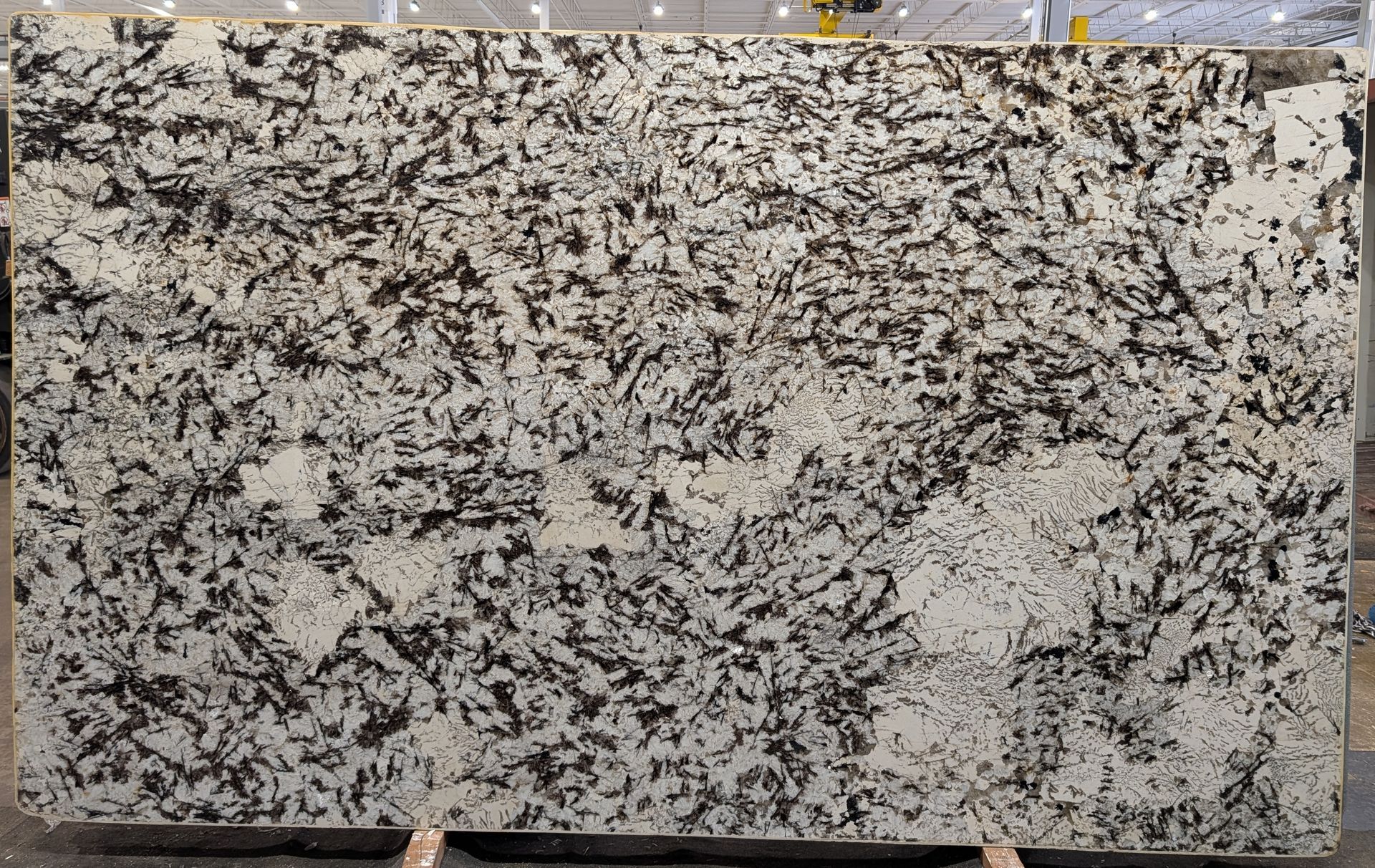 White Orion - Polished - 3CM