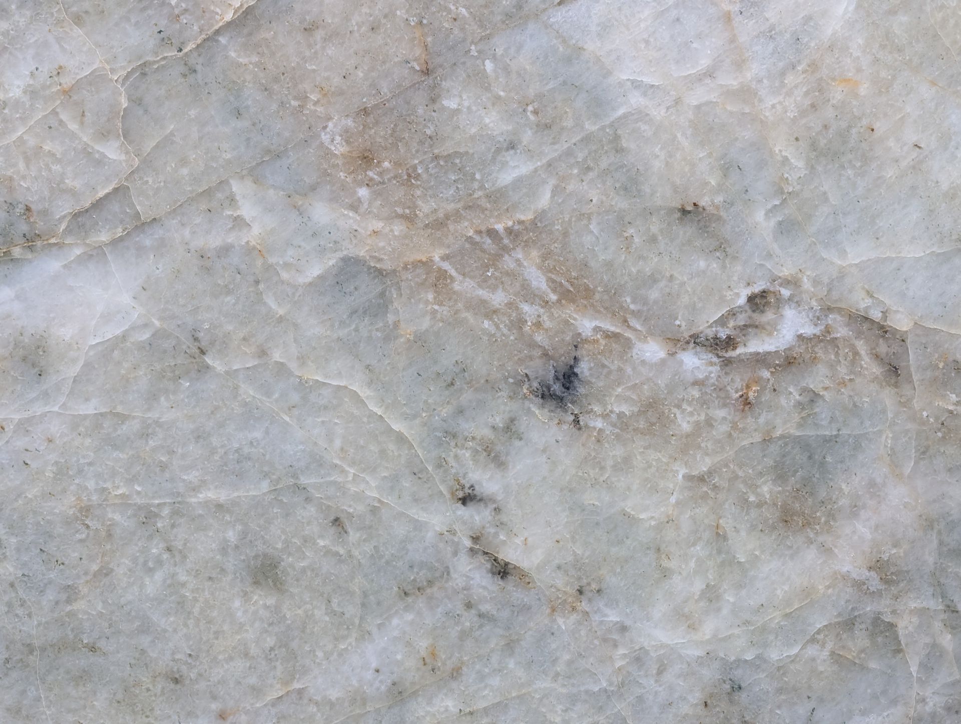 Barcelona - Honed - 3CM - Closeup