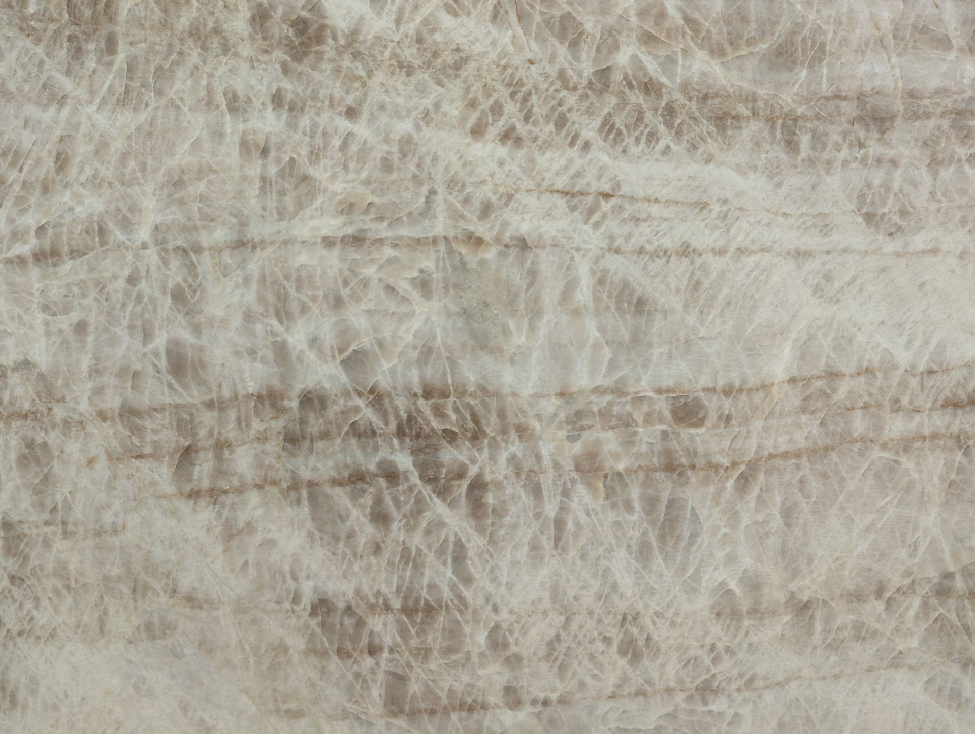 Taj Mahal - Polished - 3CM - Closeup