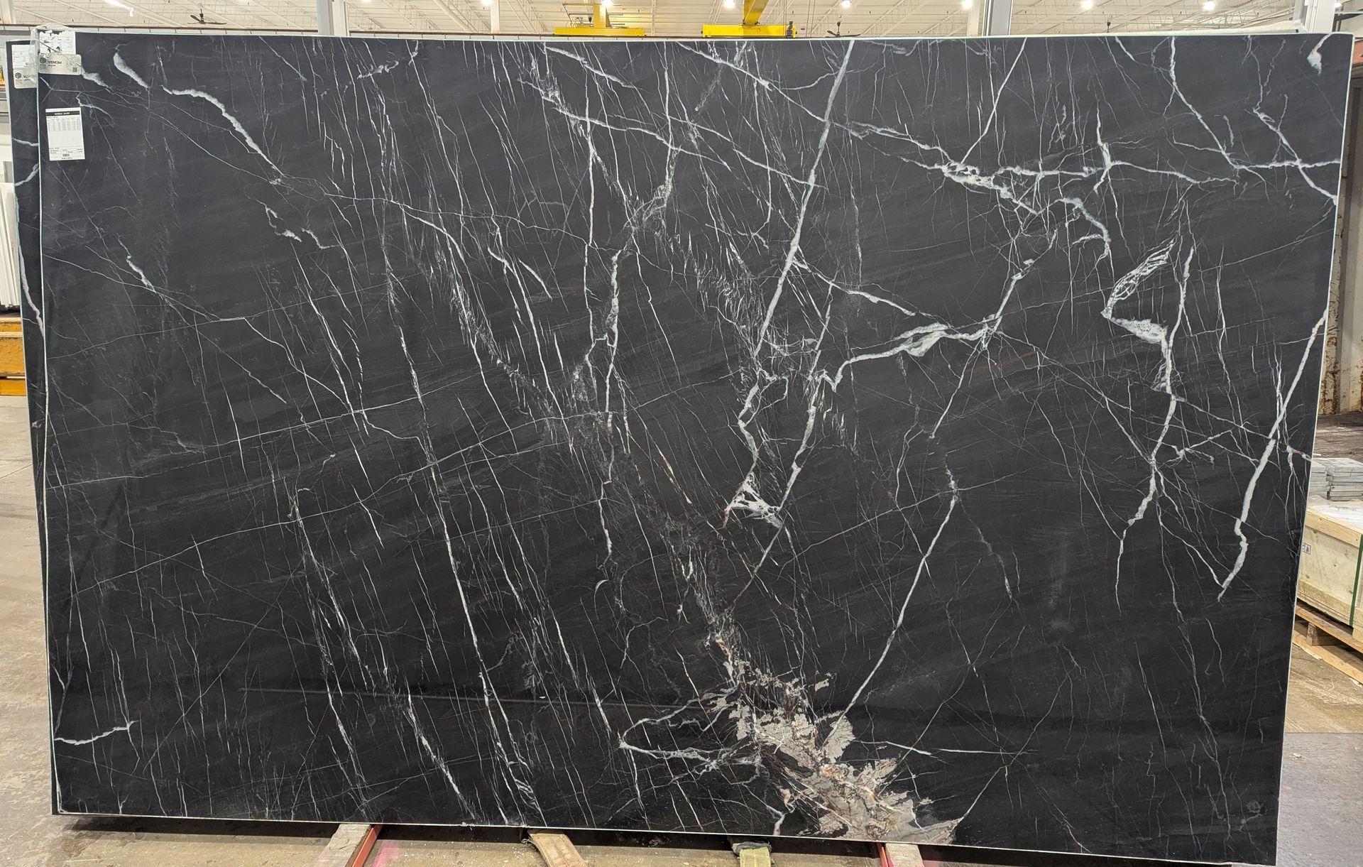 Venom - Polished - 3CM