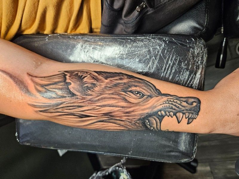 A person has a tattoo of a wolf 's head on their arm.