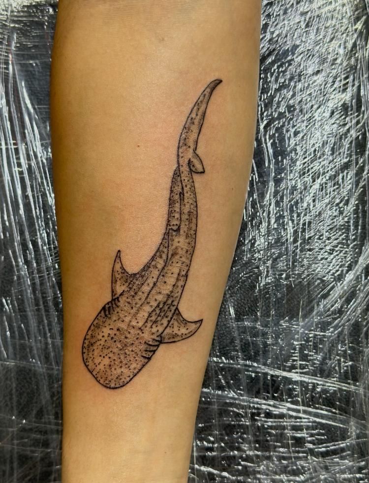 A tattoo of a whale shark on a person 's leg