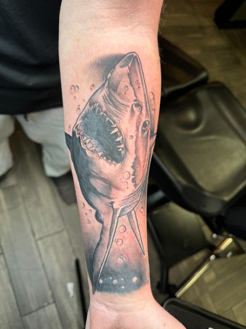 A man has a tattoo of a shark on his forearm.